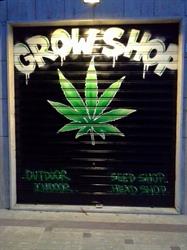 Grow Go, Palermo orari di apertura