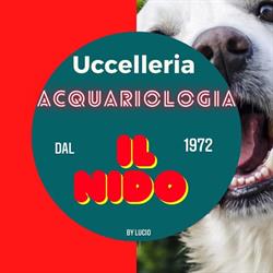 Uccelleria acquariologia I L NIDO by Lucio, Casalnuovo di Napoli orari di apertura