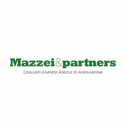 Mazzei & Partners, Montella orari di apertura
