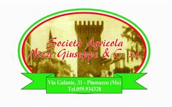 Società agricola Nizzi Giuseppe & Css, Castelfranco Emilia orari di apertura