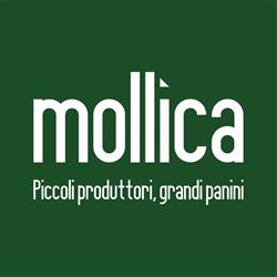 Mollica, Torino orari di apertura
