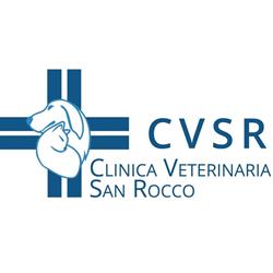 Clinica Veterinaria San Rocco Pietramelara, orari di apertura