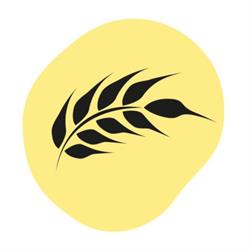 Panificio Fior di Pane di Cesari Adriano, Melpignano orari di apertura