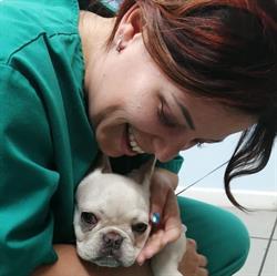 Veterinario Birba Elena, Novi di Modena orari di apertura