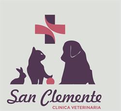 Clinica Veterinaria S. Clemente, Arezzo orari di apertura