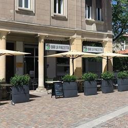 Bar la piazzetta, Rovereto orari di apertura