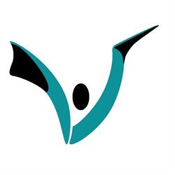 STUDIO VANDONI - Chinesiologia e Osteopatia, Collegno orari di apertura