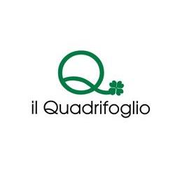 Il Quadrifoglio, Latina orari di apertura