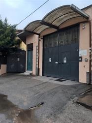 Darvini SRL- Vini & Spumanti, Nola orari di apertura