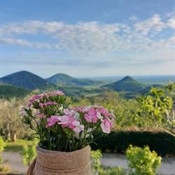 Agriturismo Alto Venda, Cinto Euganeo orari di apertura