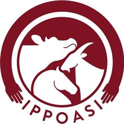 Fattoria della Pace IPPOASI Pisa, San Piero A Grado - Orari di apertura
