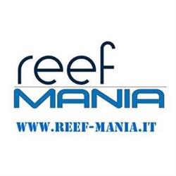 Reef Mania, Leinì orari di apertura