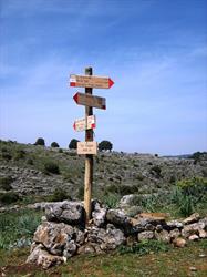 B&B Iliana Trekking Gairo, Taquisara - Orari di apertura