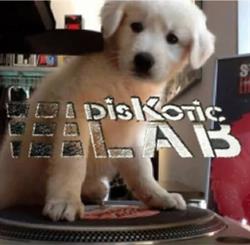 Diskotic Records e Lab, Genova orari di apertura