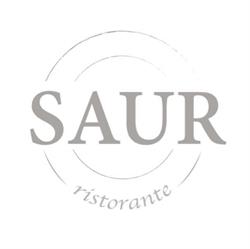Ristorante Saur, Orzinuovi orari di apertura