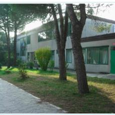 Istituto Comprensivo Statale Adele Zara, Oriago orari di apertura