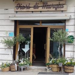 Fiori Di Murgia di Mascolo Achille, Altamura orari di apertura