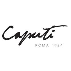 Ottica Caputi Srl, Roma orari di apertura