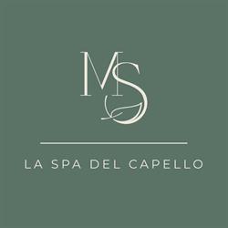 mS Concept SPA, Reggio Emilia orari di apertura