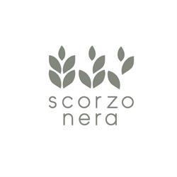 Scorzonera, Nicolosi, orari di apertura