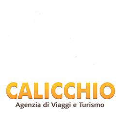 Agenzia Di Viaggi E Turismo Calicchio Viaggi, Marina di Camerota orari di apertura