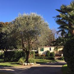 Camping Internazionale Paradis, Cannobio orari di apertura