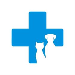 Ambulatorio veterinario - Greco Dr. Ilario, Giovinazzo orari di apertura