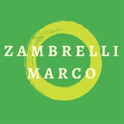 Marco Zambrelli Autoriparazioni, Traversetolo orari di apertura