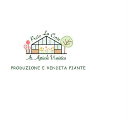 Azienda Agricolo-Vivaistica Prato La Corte, Formello orari di apertura
