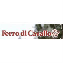 Ferro di Cavallo, Scalea orari di apertura