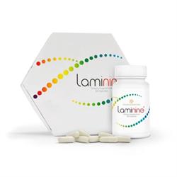 Lifepharm Italia, Patti orari di apertura