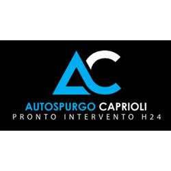 Autospurgo Caprioli, Forano orari di apertura