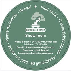 Spazio Bonsai, Buscate orari di apertura