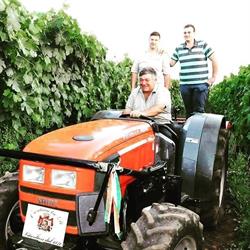 Cantina Tre d Di d'Offizi Dante, Gallicano nel Lazio orari di apertura