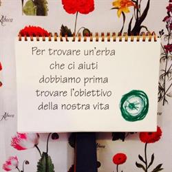 Erboristeria La Sorgente, Vercelli orari di apertura