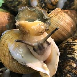 Pescheria Da Parò, Grottammare orari di apertura