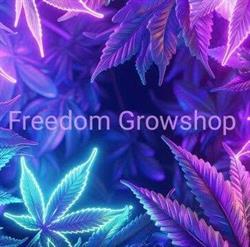 Freedom Growshop Verona, Stadio - Orari di apertura