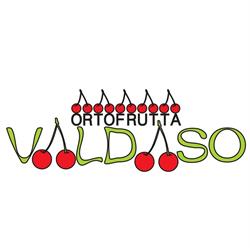 Ortofrutta Valdaso, Ancona orari di apertura