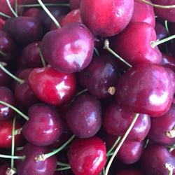 La Frutta di Stagione, Carmiano orari di apertura