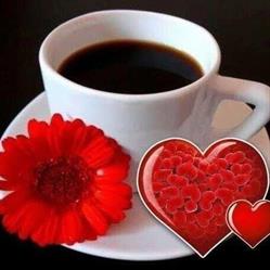 Caffè della Piazza, Gravellona Toce orari di apertura