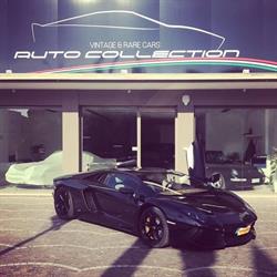 Auto Collection Srl, Cervia orari di apertura