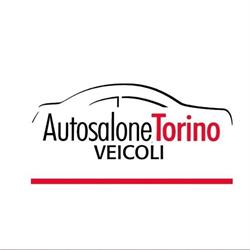 Autosalone Torino Veicoli srl, Grosseto orari di apertura