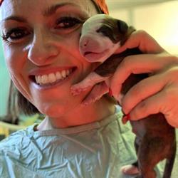 Ambulatorio Veterinario Sostizzo Marta, Isola Vicentina orari di apertura