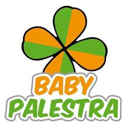 Baby Palestra Studio di Psicologia e Psicomotricità, Bovolone orari di apertura