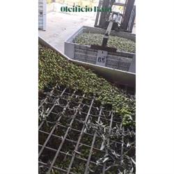 Oleificio Baio, Regalbuto orari di apertura