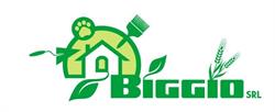 Biggio Srl Campobasso, orari di apertura
