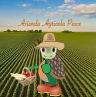 Agricola Pesce, Noale orari di apertura
