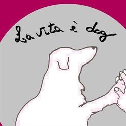 La VITA E' DOG, Peschiera Borromeo orari di apertura