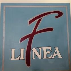 Linea F Hair Studio, Fornovo di Taro orari di apertura