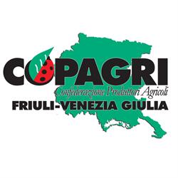 Copagri Friuli Venezia Giulia, Codroipo orari di apertura